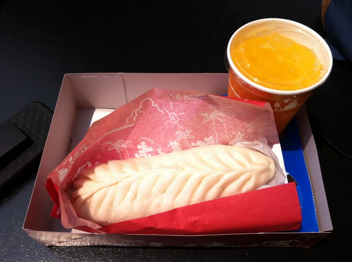 Gyoza Dog - Japanese / Chinese / American fusion?