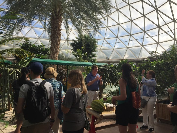 On tour in the greenhouse