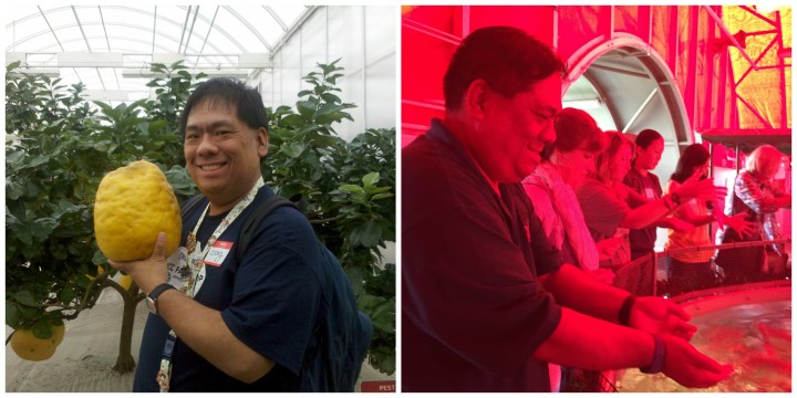 L to R: The huge lemon from my first trip and feeding the tilapia on my second