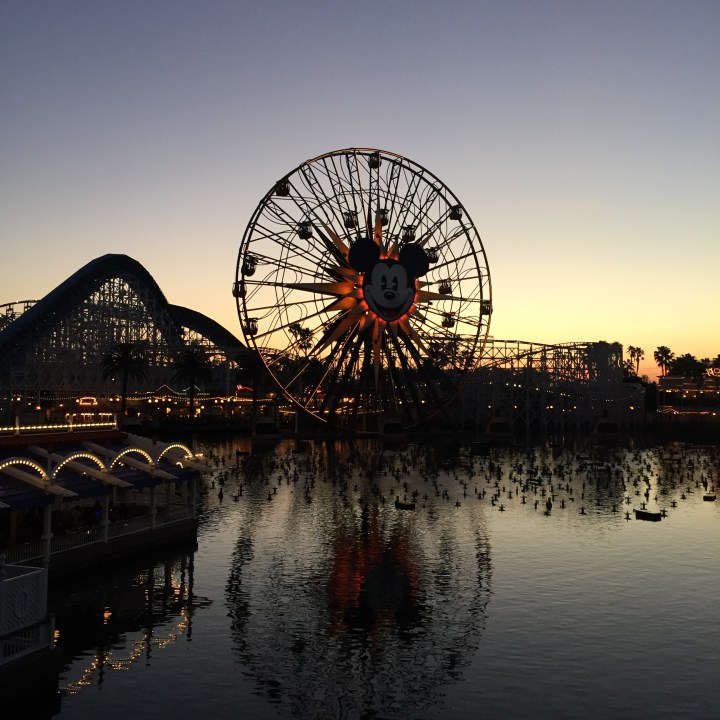 Love this shot of DCA at dusk