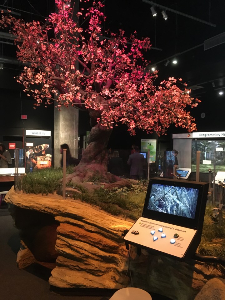 A replica of Ant Island from A Bug's Life shows visitors the importance of sets and cameras